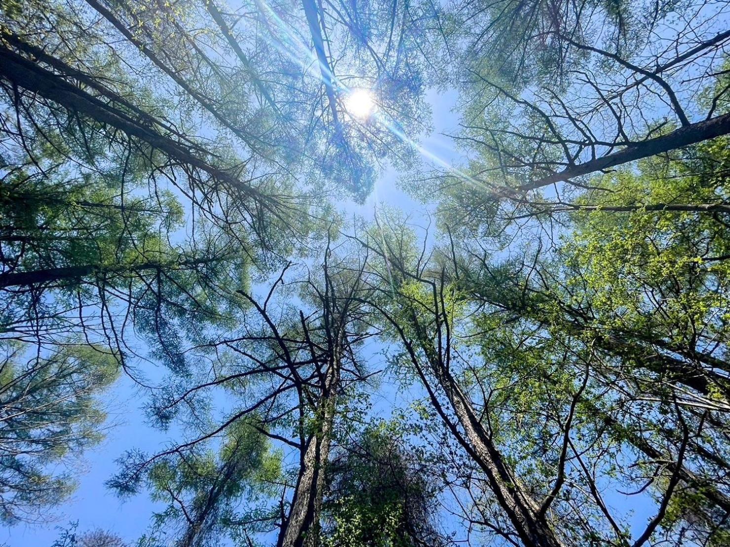 Appartamento Harelier山中湖 Yamanakako Esterno foto